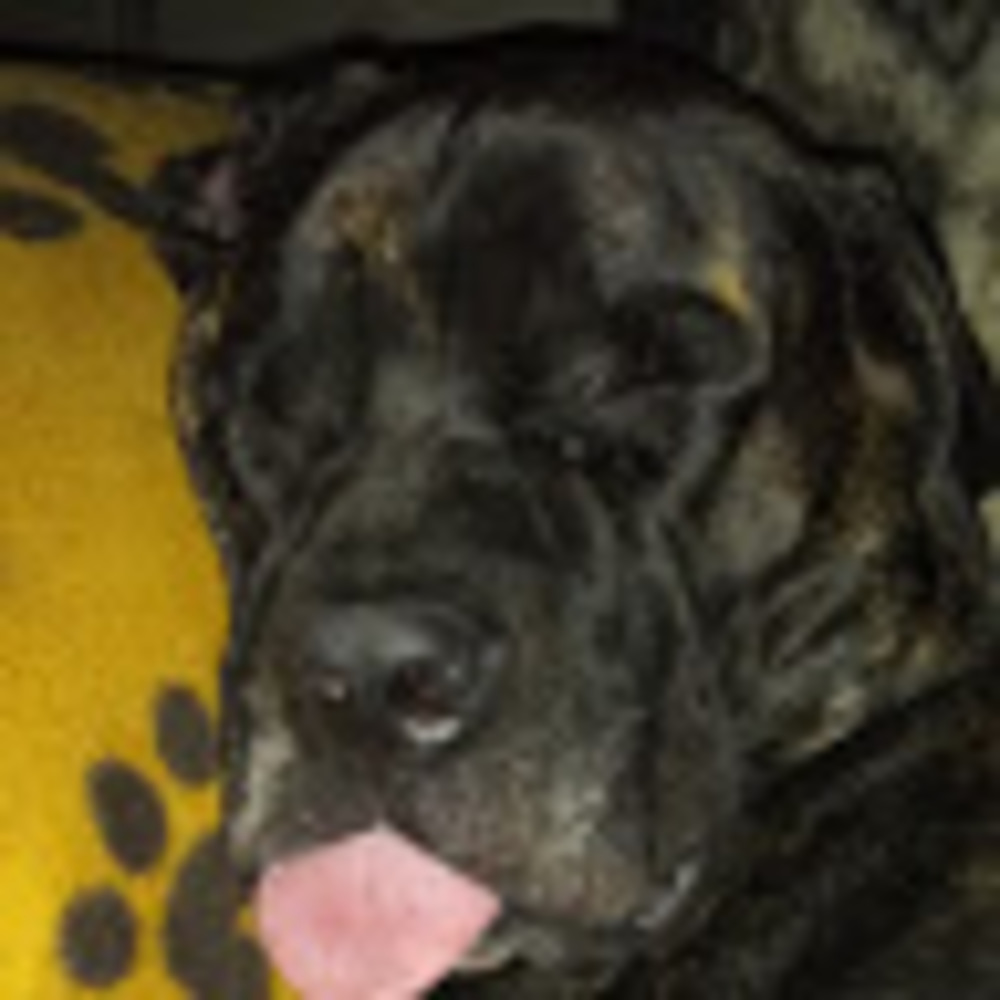 Meet your Posher, Maddy